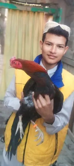 Waseem gujjar 