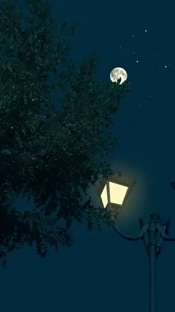 Vibes moon