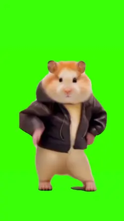 hamster joget trend