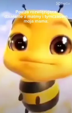  6 z matmy przczoła!