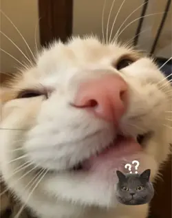 Cute mes