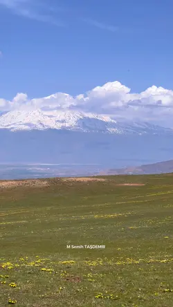 Şıgraye