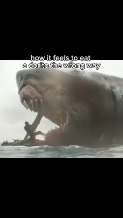 shark meme