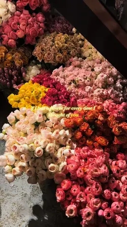 FLOWER POEM