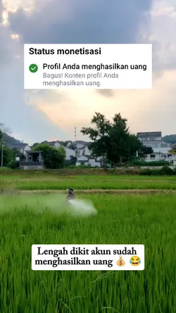 FB Pro Reels FYP 