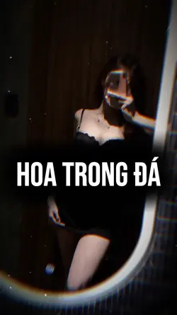 Hoa Trong Đá