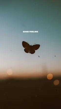 Good Feeling