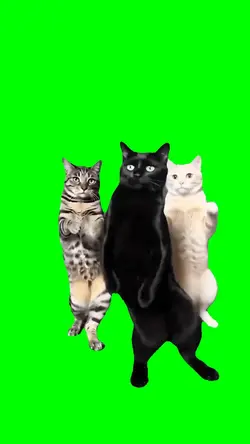 fendi cats