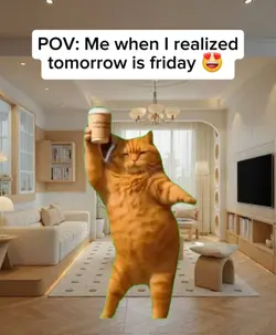 Dancing cat