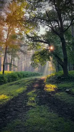 Nature vibes