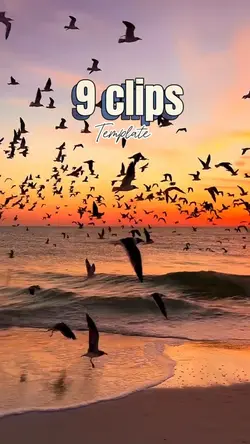 9 clips 