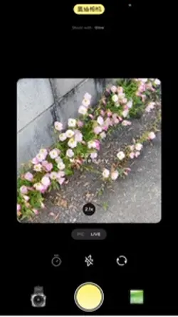 2024振り返り 白春夢