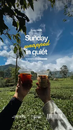 VLOG: Quiet Sunday 2