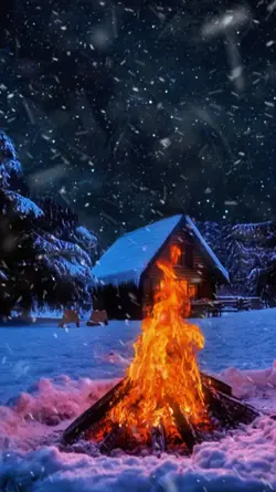 WINTER BLISS