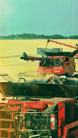 Agro cinematic