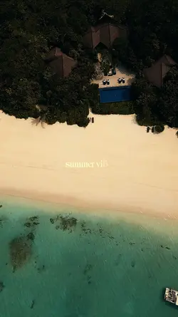 summer vibes beach 