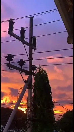 mangu viral 