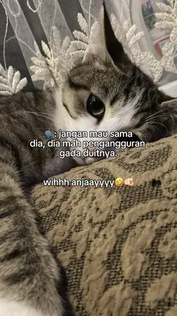 Wihhh anjayyy