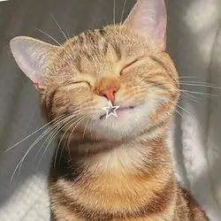 ROI CAT