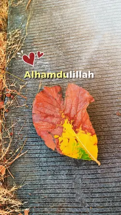 Alhamdulillah