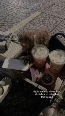 CAP STORY + MÀU