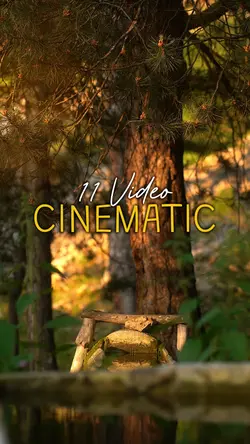 11 Clip Video