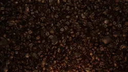 coffee intro