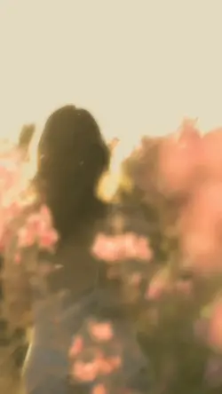 5 video aesthetic