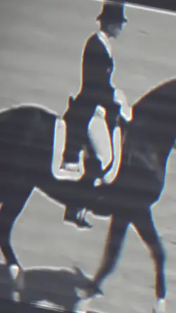 horse