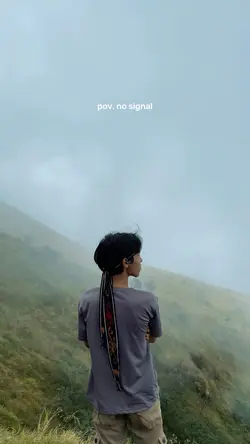 Pov no signal