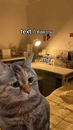 cat sad 