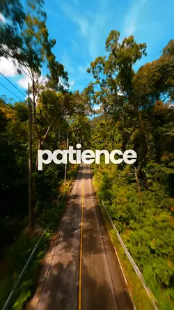 Patience