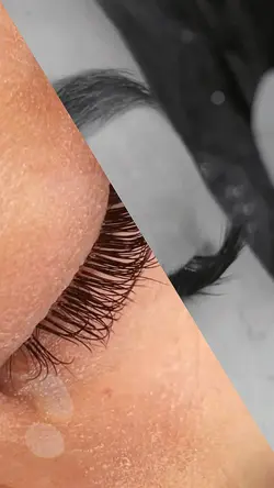 LASHES TRANSITIO