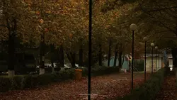 Autumn 