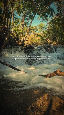 Apreciar a vida