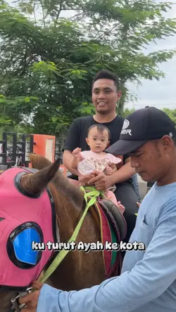 naik delman