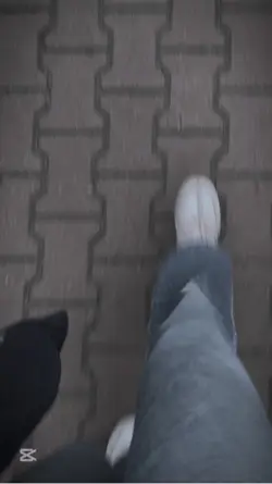 Ib chyba ja, 
