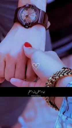 Khowar New Song 🎧 