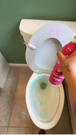 Bathroom Cleaning
