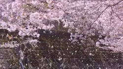 入園、入学、入社、様々なシーンでお使い!