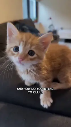 Say hi buddy
