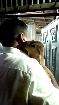 পশুর সাথে বন্ধুত্ব