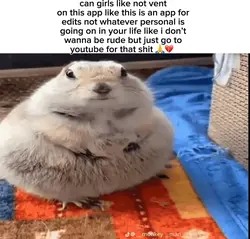 plead vro don’t vent