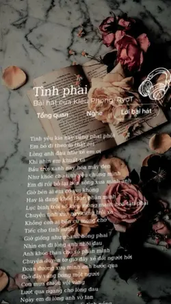 Tình Phai