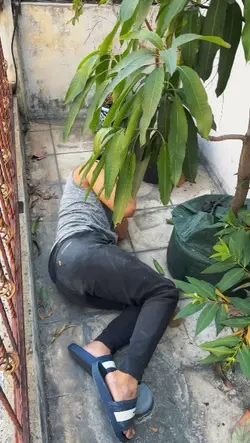 aku gak bisa tidur