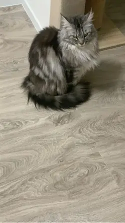 my baby