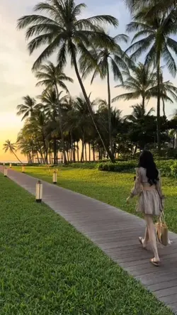 1pict video