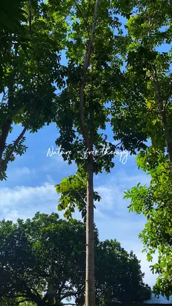 Nature Free Therapy