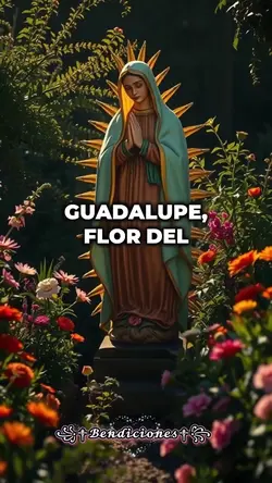 ꧁༺ʋɨʀɢɛռƈɨȶǟ༻꧂