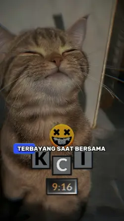 kaulah seluruh cinta